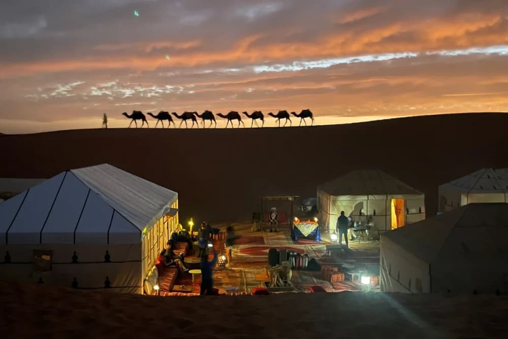 Luxury Bivouac Merzouga  – Private Bathroom + Camel Ride + Dinner & Show + Breakfast + Return (Camel & 4x4)
