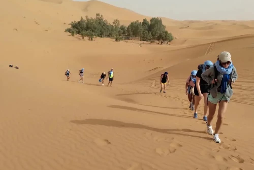 Merzouga Wild Bivouac (Max 4 People) – 10H Camel Trek + Guide + Campfire +  Meals + Free Sandboarding + 4x4 Support