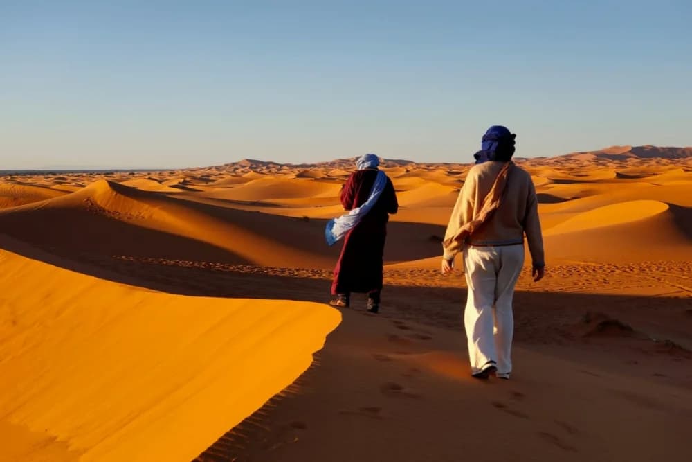 Merzouga Wild Bivouac (Max 4 People) – 10H Camel Trek + Guide + Campfire +  Meals + Free Sandboarding + 4x4 Support - 5