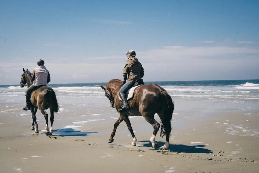 Taghazout Horse Ride – 1 Hour