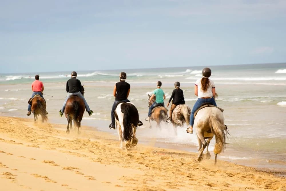 Oued Souss (Takkat) Horse Ride – 2 Hours - 2