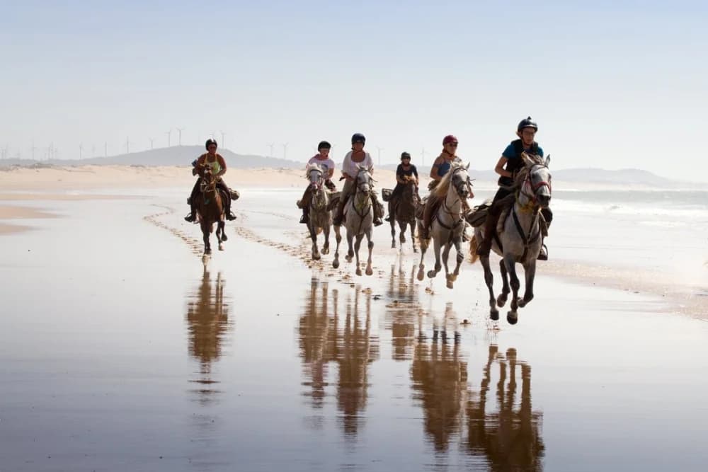Oued Souss (Takkat) Horse Ride – 2 Hours - 3