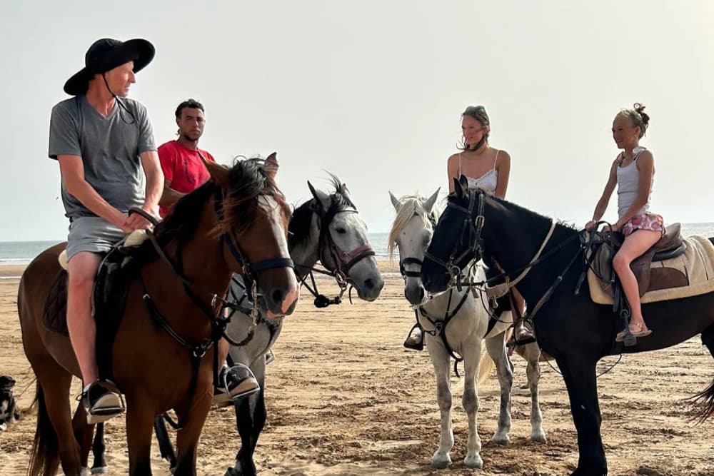 Oued Souss (Takkat) Horse Ride – 2 Hours - 4