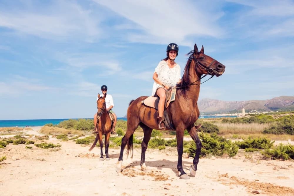 Oued Souss (Takkat) Horse Ride – 2 Hours