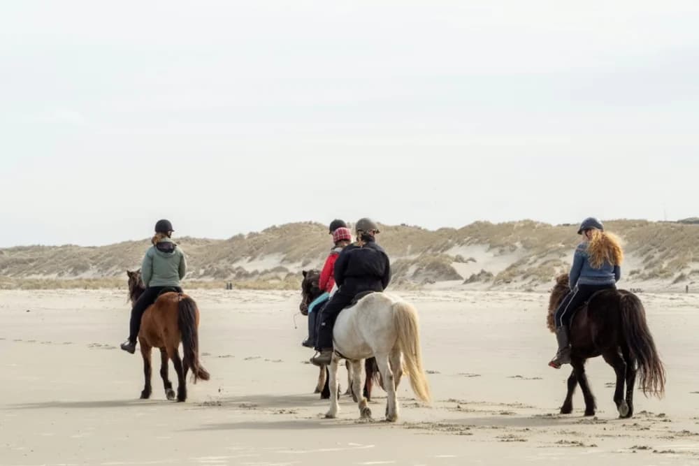 Oued Souss (Takkat) Horse Ride – 2 Hours - 5