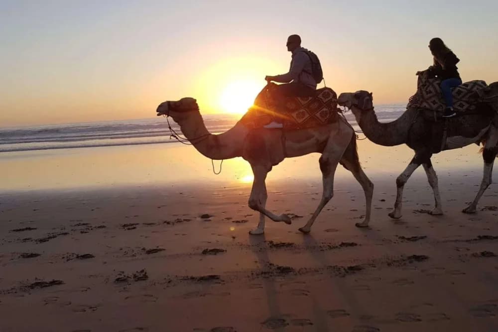 Taghazout Camel Ride – 1 Hour - 2