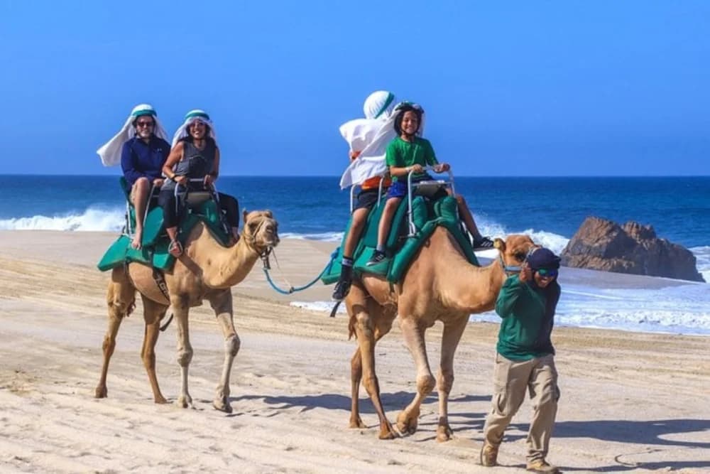 Taghazout Camel Ride – 1 Hour - 4