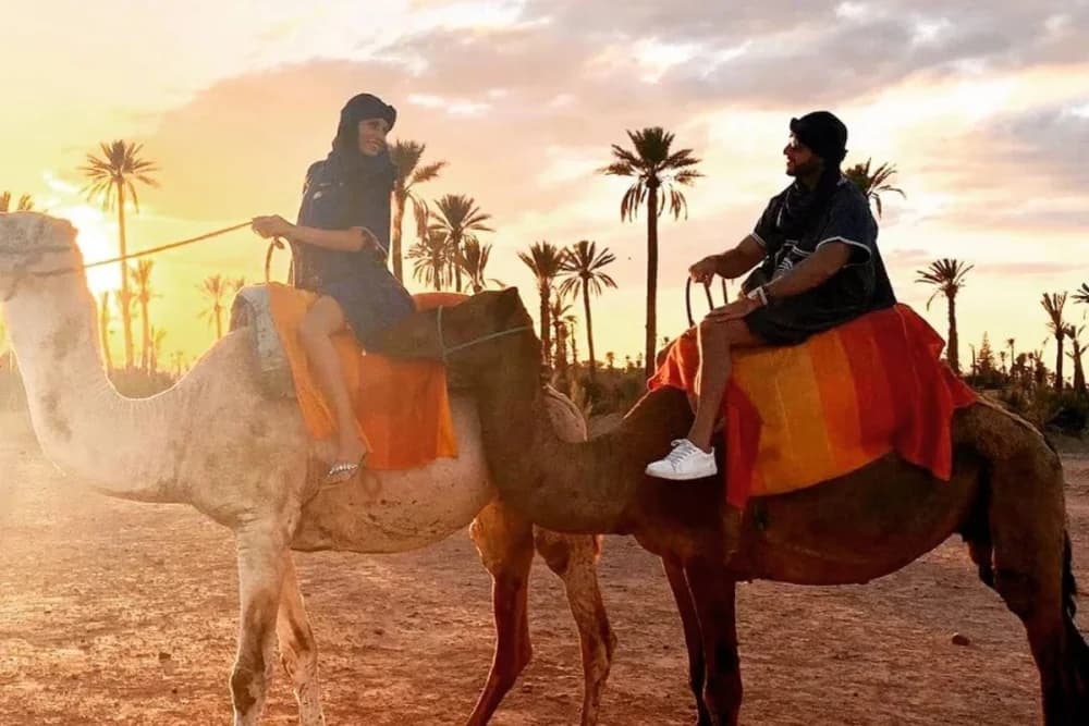 Taghazout Camel Ride – 1 Hour - 5