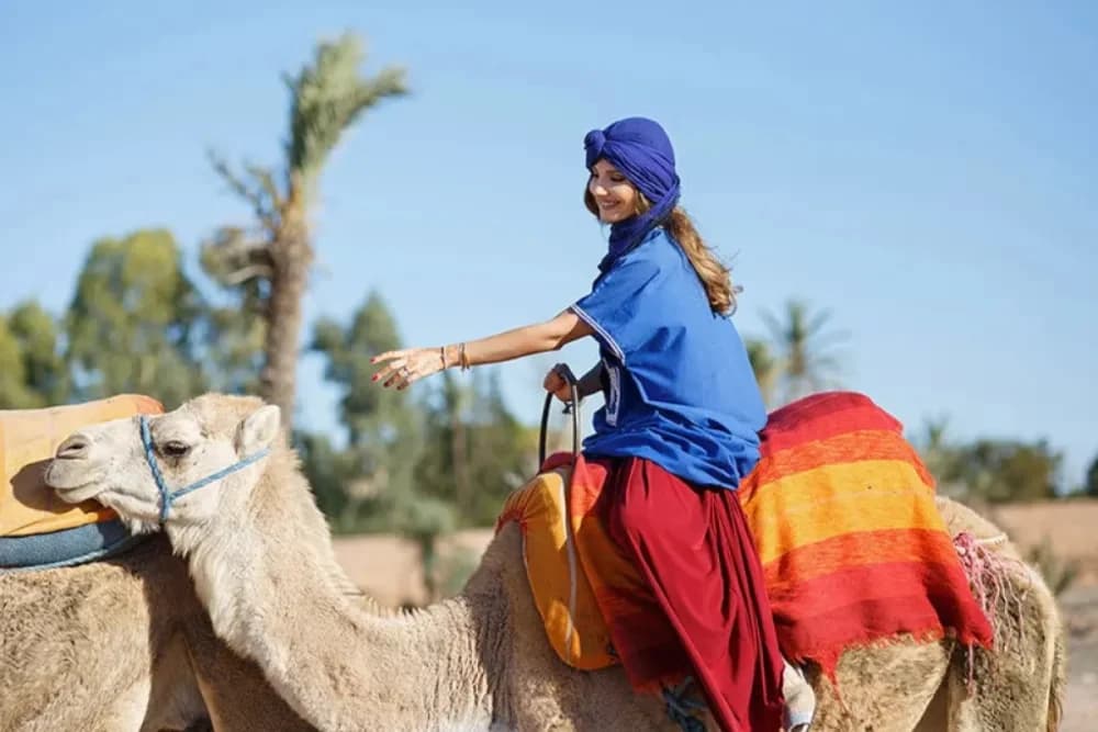 Taghazout Camel Ride – 1 Hour