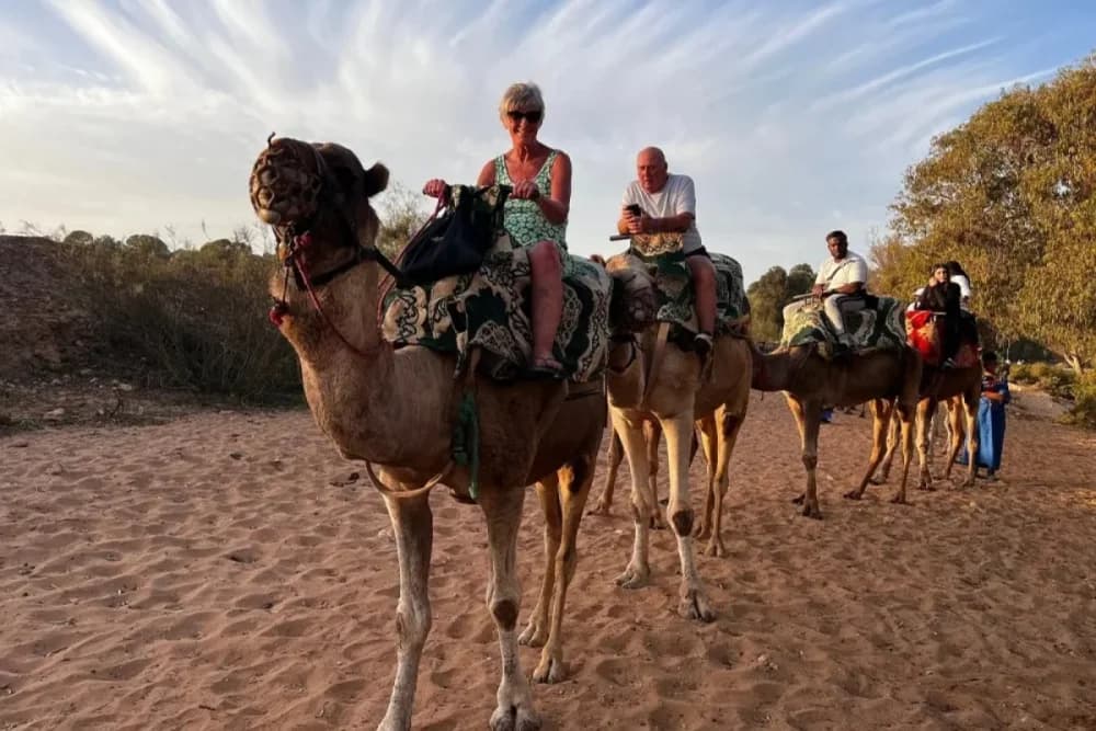 Experiência de Camelo em Tarrast – 2 Horas + Churrasco + Chá & Música + Transporte - 2