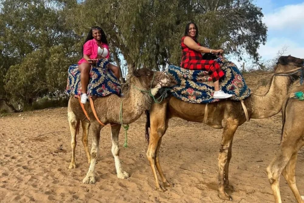 Experiência de Camelo em Tarrast – 2 Horas + Churrasco + Chá & Música + Transporte - 3