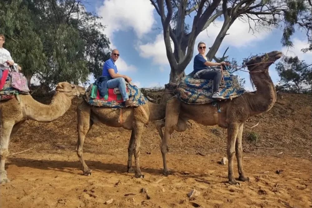 Experiência de Camelo em Tarrast – 2 Horas + Churrasco + Chá & Música + Transporte