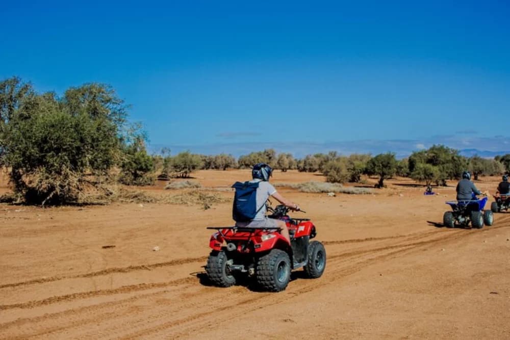 Takkat Quad Experience – Desert or Beach & Dunes - 4