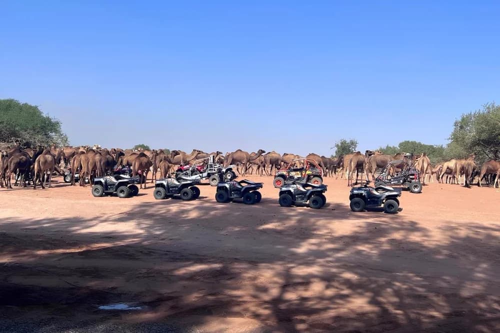 Sidi Bibi Quad Bike Tour – departures at 10:00 and 14:00 - 3
