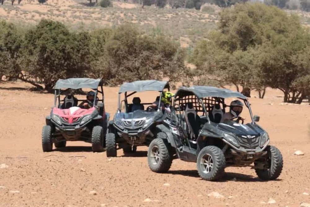 Tour in Buggy a Sidi Bibi – 2 o 4 Posti - 2