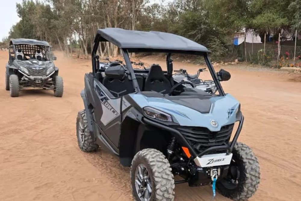 Tour in Buggy a Sidi Bibi – 2 o 4 Posti - 3