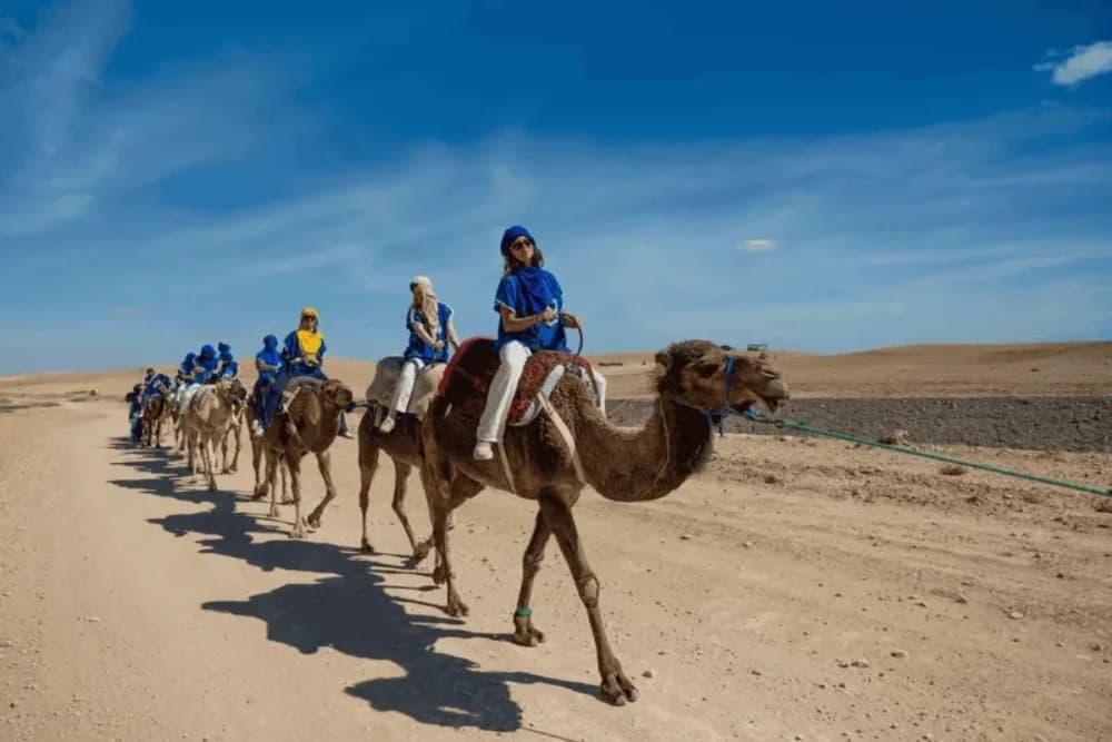 Agafay Desert Evening Experience – Dinner & Show + Quad 1H + Camel 30 Min - 2