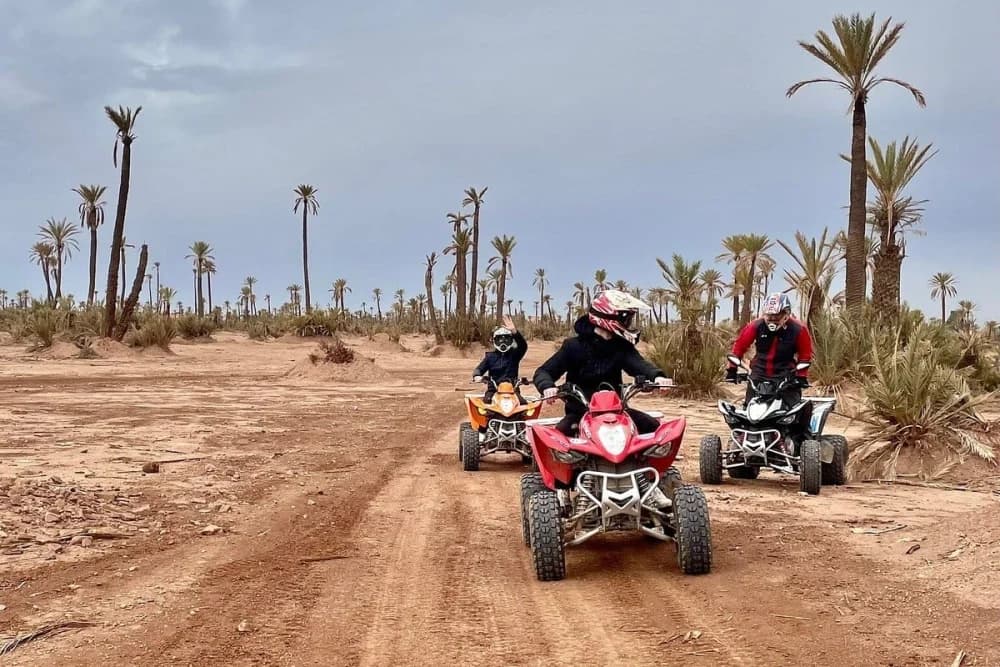 Marrakech Palmeraie Quad + Kamelenrit – 2 Uur - 2
