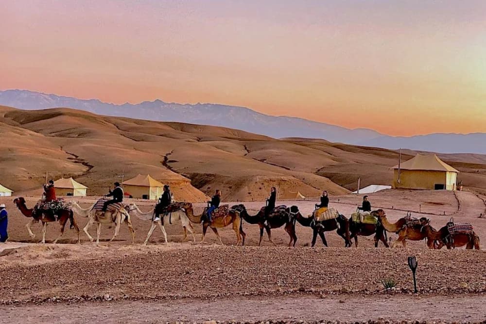 Agafay Desert Evening Experience – Dinner & Show + Quad 1H + Camel 30 Min - 4