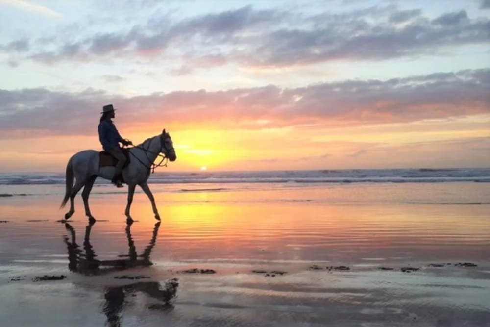 Giro a Cavallo sulla Spiaggia di Tangeri 1 Ora - Giorno o Tramonto - 2