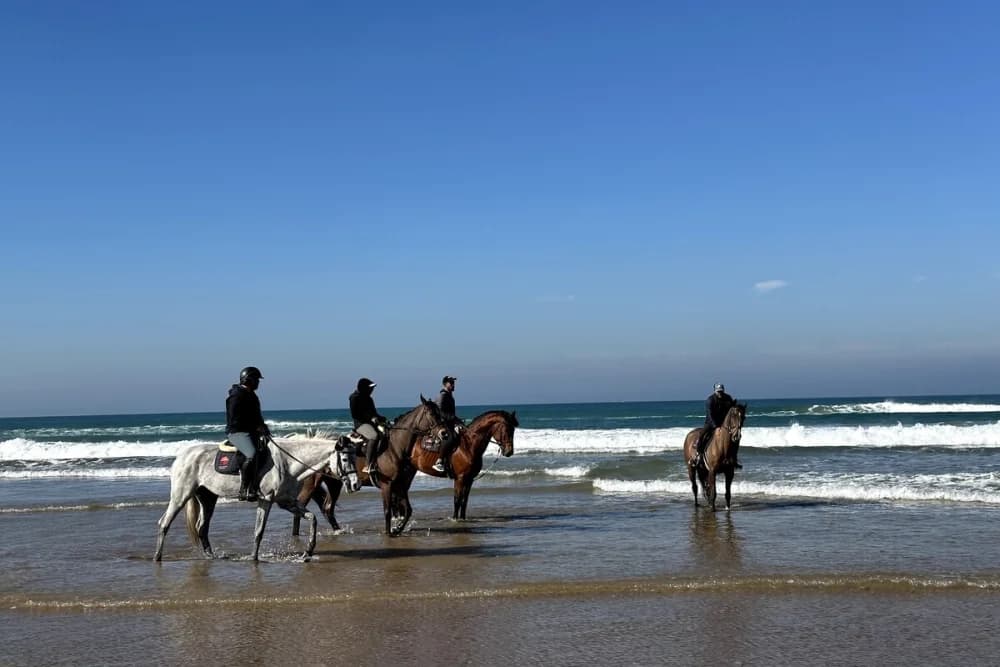 Tangier Beach Horse Ride 1 Hour - Daytime or Sunset
