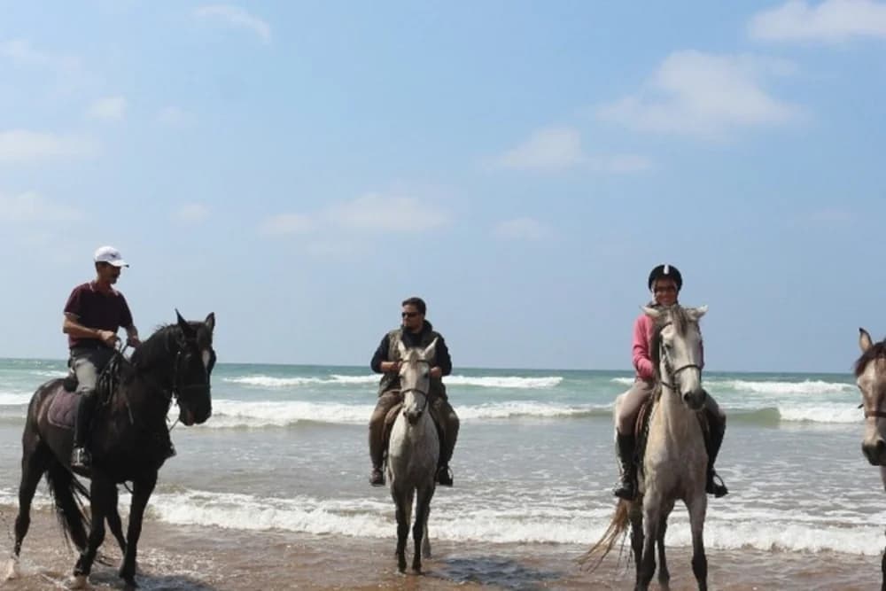 Giro a Cavallo sulla Spiaggia di Tangeri 1 Ora - Giorno o Tramonto - 3