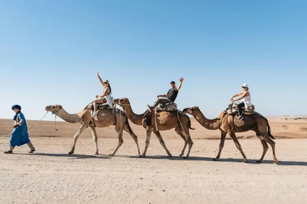 Agafay Camel Ride – Tea Stop + Photo Stop (45 Min Drive) - 3