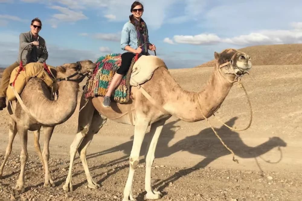 Agafay Camel Ride – Tea Stop + Photo Stop (45 Min Drive) - 4