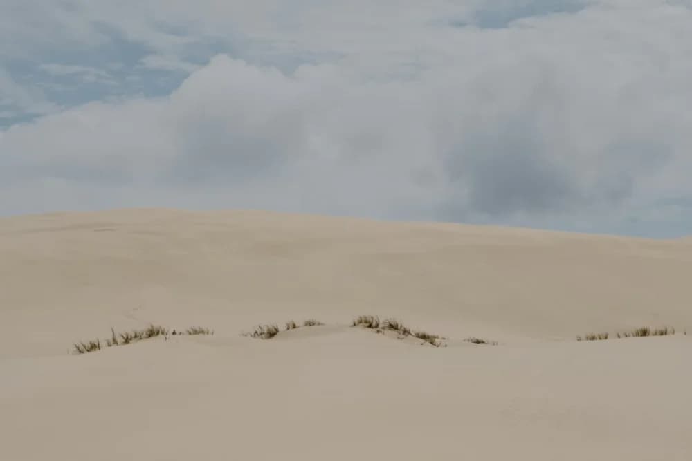 Timlaline Sand Dunes Sunset Trip (16:00) – Cave Canyon Route + Guide - 4