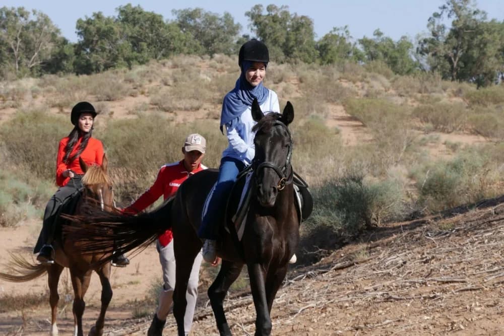 Tarrast Horse Ride – 2 Hours - 1