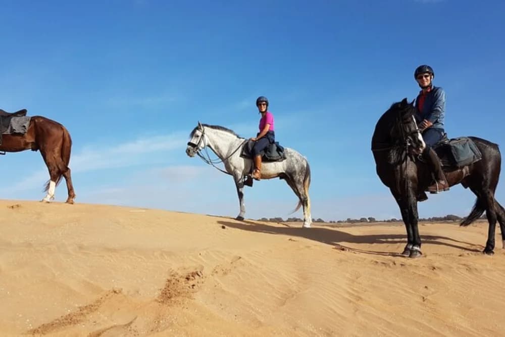 Tarrast Horse Ride – 2 Hours - 2