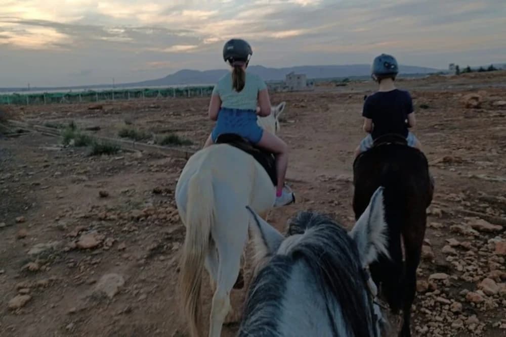 Oulad Tayeb (Fes) Horse Riding – 30 Min, 1 Hour or 3 Hours - 2