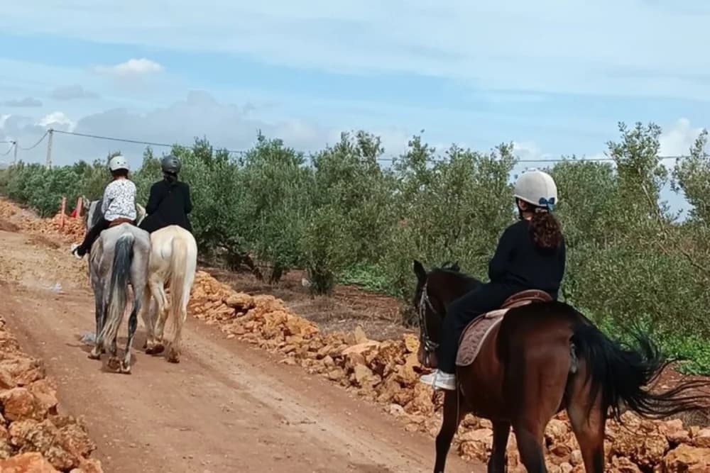Oulad Tayeb (Fes) Horse Riding – 30 Min, 1 Hour or 3 Hours